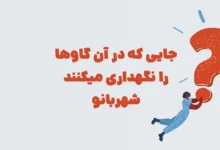 جایی که در آن گاوها را نگهداری میکنند شهربانو + در جدول