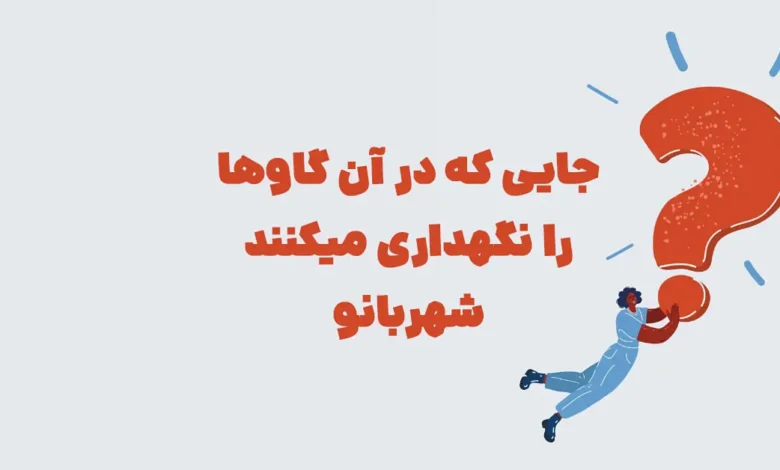 جایی که در آن گاوها را نگهداری میکنند شهربانو + در جدول
