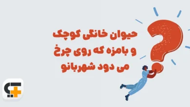 حیوان خانگی کوچک و بامزه که روی چرخ می دود شهربانو