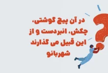 در آن پیچ گوشتی، چکش، انبردست و از این قبیل می گذارند شهربانو
