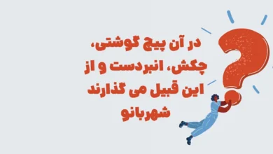 در آن پیچ گوشتی، چکش، انبردست و از این قبیل می گذارند شهربانو