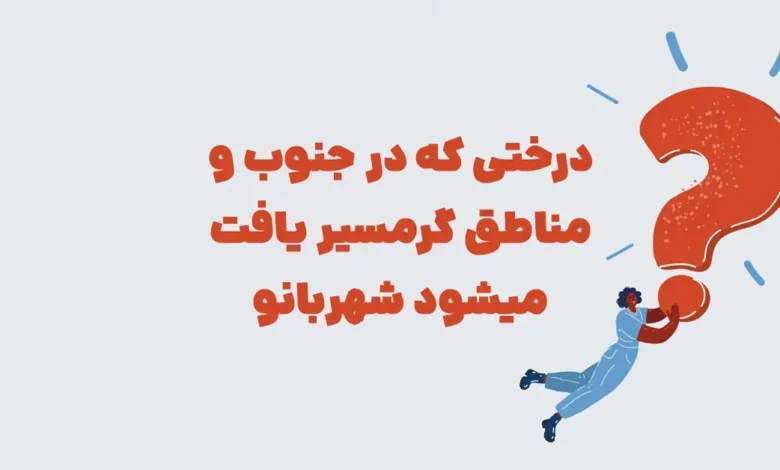 درختی که در جنوب و مناطق گرمسیر یافت میشود شهربانو