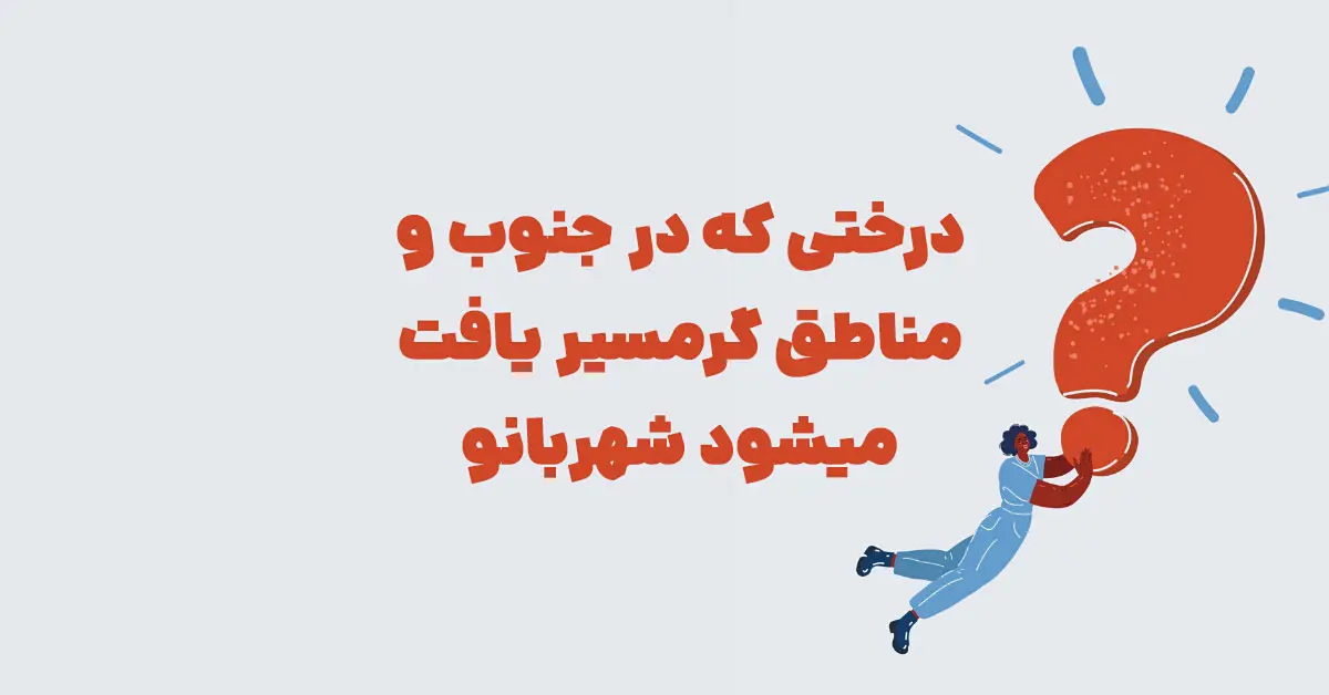 درختی که در جنوب و مناطق گرمسیر یافت میشود شهربانو