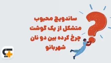 ساندویچ محبوب متشکل از یک گوشت چرخ کرده بین دو نان ⭐ جـواب شهربانو