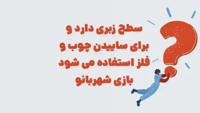 سطح زبری دارد و برای ساییدن چوب و فلز استفاده می شود بازی شهربانو