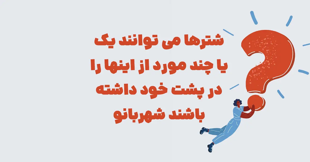 شترها می توانند یک یا چند مورد از اینها را در پشت خود داشته باشند شهربانو