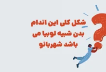 شکل کلی این اندام بدن شبیه لوبیا می باشد شهربانو