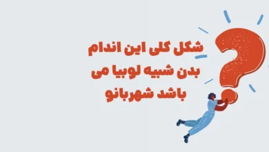 شکل کلی این اندام بدن شبیه لوبیا می باشد شهربانو