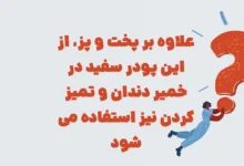 جسمی تزیینی که به یخچال می چسبد اما به دیوارها نه در شهربانو