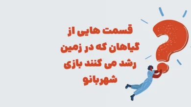 قسمتی از گیاهان که در زمین رشد میکنند ⭐ جـواب مـعمـای شهربانو