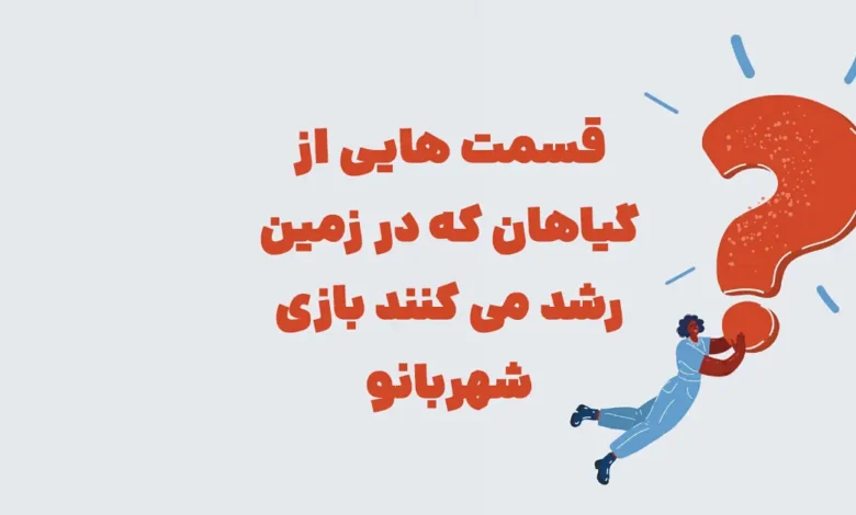 قسمتی از گیاهان که در زمین رشد میکنند ⭐ جـواب مـعمـای شهربانو
