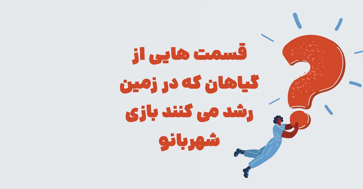 قسمتی از گیاهان که در زمین رشد میکنند ⭐ جـواب مـعمـای شهربانو