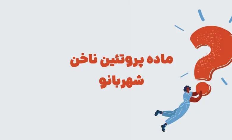 ماده پروتئین ناخن شهربانو + در جدول
