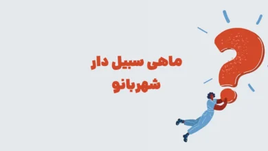 پاسخ صحیح معمای: ماهی سبیل دار در بازی شهربانو