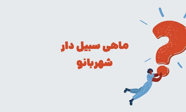 پاسخ صحیح معمای: ماهی سبیل دار در بازی شهربانو