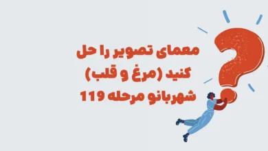 معمای تصویر را حل کنید (مرغ و قلب) شهربانو مرحله 119