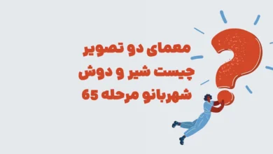 معمای دو تصویر چیست شیر و دوش شهربانو مرحله 65