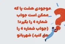 موجودی هشت پا که ممکن است جواب شماره 4 را بگیرد! (جواب شماره 4 را حل کنید) شهربانو