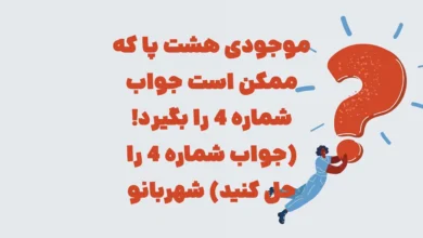 موجودی هشت پا که ممکن است جواب شماره 4 را بگیرد! (جواب شماره 4 را حل کنید) شهربانو