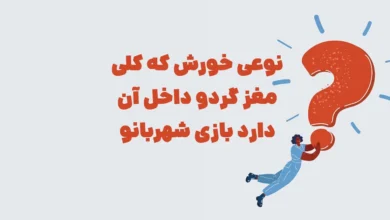 نوعی خورش که کلی مغز گردو داخل آن دارد بازی شهربانو