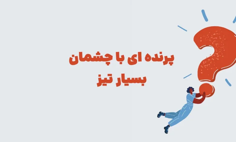 پاسخ معمای: پرنده ای با چشمان بسیار تیز در بازی شهربانو