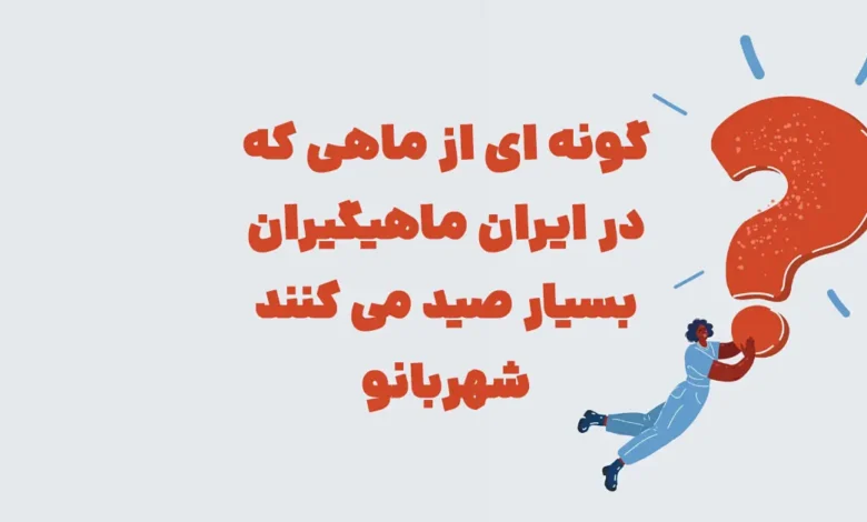 گونه ای از ماهی که در ایران ماهیگیران بسیار صید می کنند شهربانو
