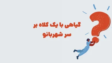 گیاهی با یک کلاه بر سر شهربانو + جدولانه