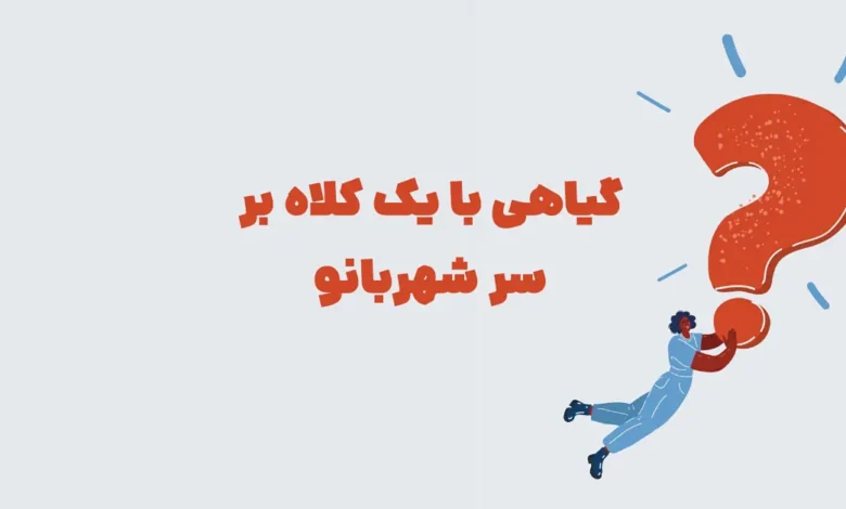 گیاهی با یک کلاه بر سر شهربانو + جدولانه