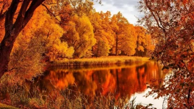 جملات کوتاه پاییزی