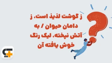 ز گوشت لذیذ است ز دامان حیوان به آتش نپخته شهربانو