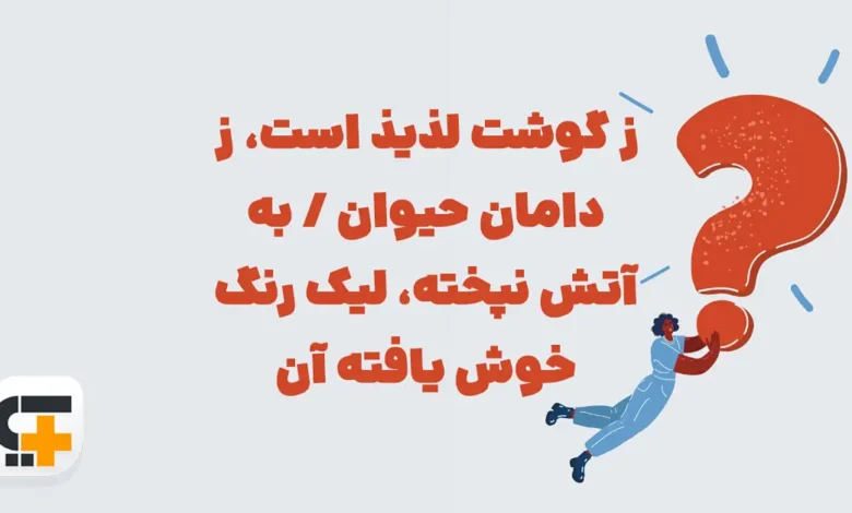 ز گوشت لذیذ است ز دامان حیوان به آتش نپخته شهربانو