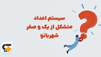 سیستم اعداد متشکل از یک و صفر شهربانو