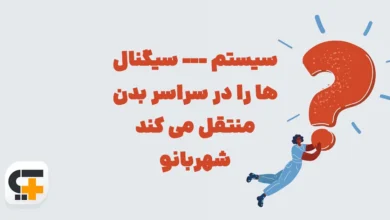 سیستم --- سیگنال ها را در سراسر بدن منتقل می کند شهربانو