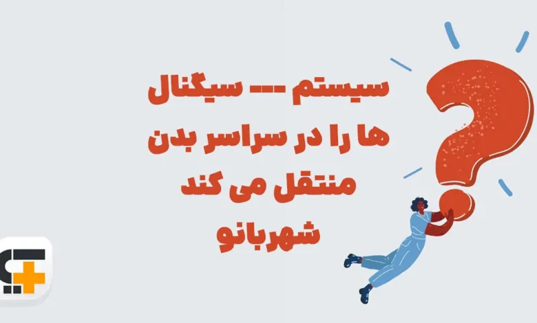سیستم --- سیگنال ها را در سراسر بدن منتقل می کند شهربانو