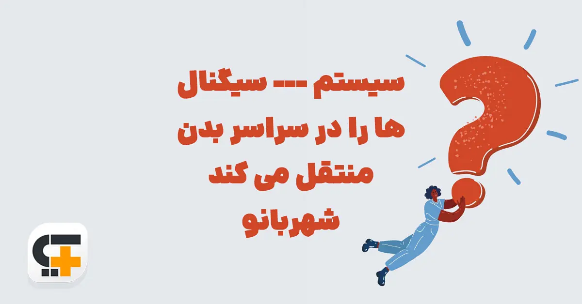 سیستم --- سیگنال ها را در سراسر بدن منتقل می کند شهربانو