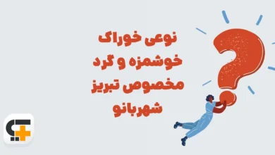 پیش‌نویس خودکار