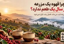 ارتفاع کشت و تاثیر بر طعم قهوه