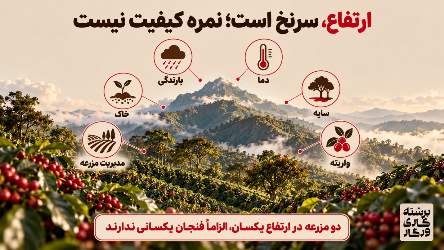 چرا قهوه یک مزرعه در سال-های مختلف دقیقاً یک طعم ندارد؟ - تصویر 4 چرا ارتفاع بیشتر همیشه مساوی طعم بهتر نیست؟