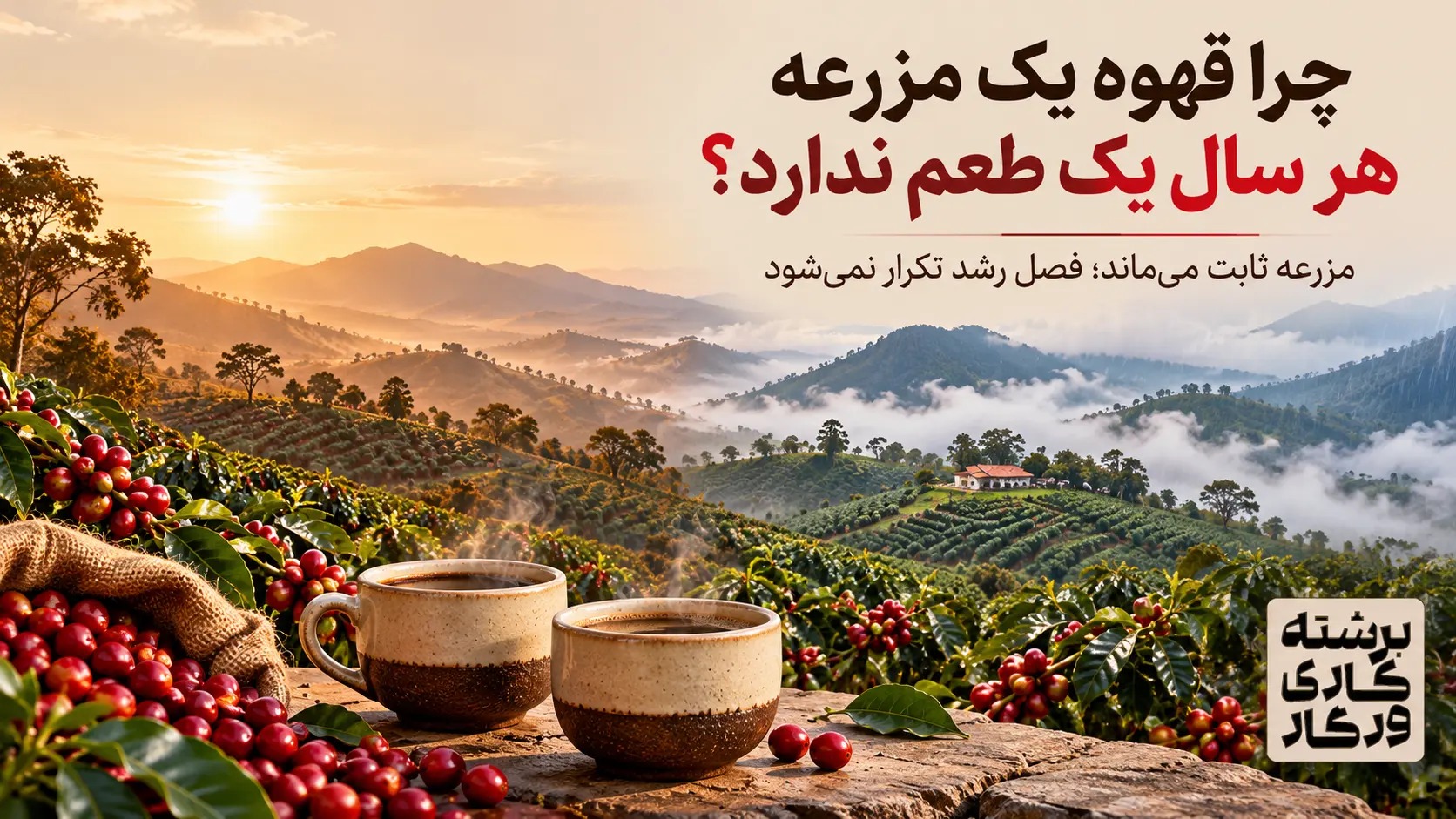 ارتفاع کشت و تاثیر بر طعم قهوه